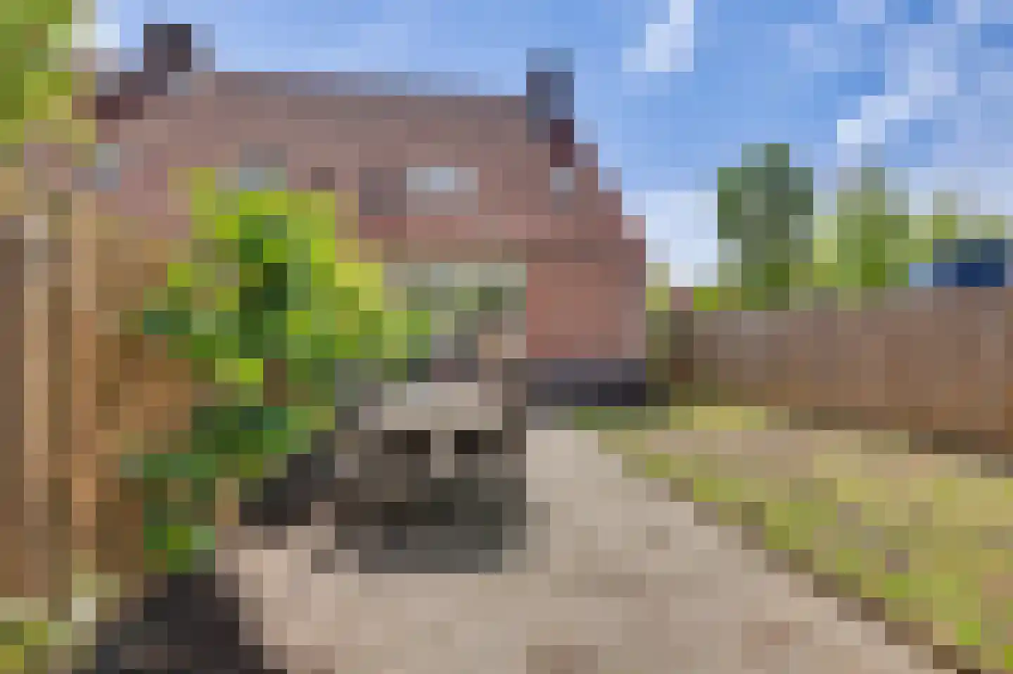 Obrechtlaan 10 's-Gravenzande thumbnail 24