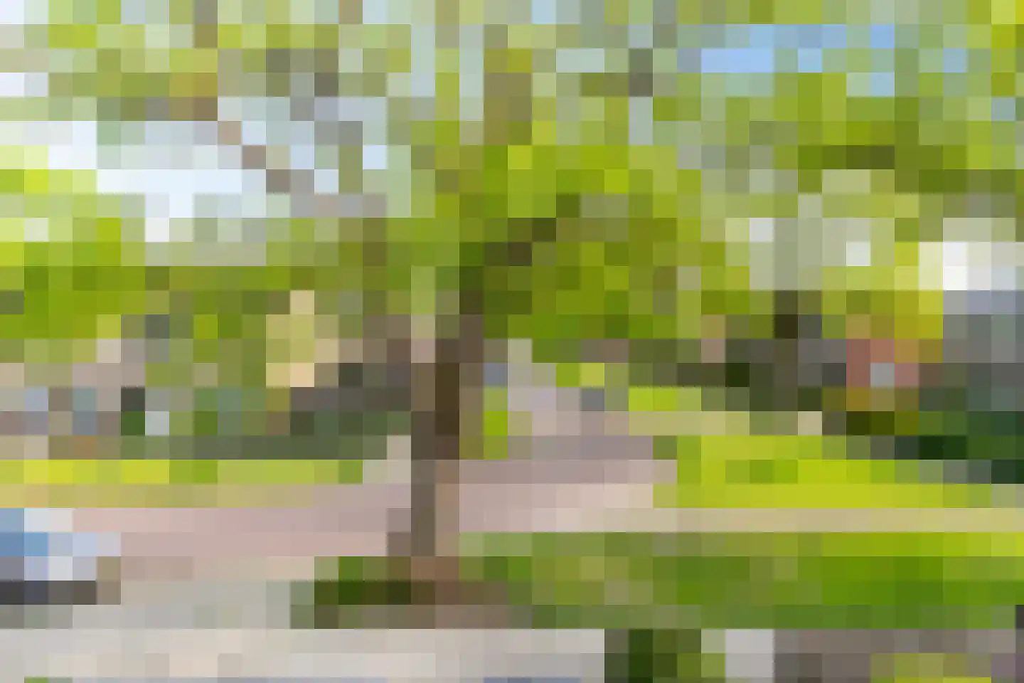 Obrechtlaan 106 Assen thumbnail 29