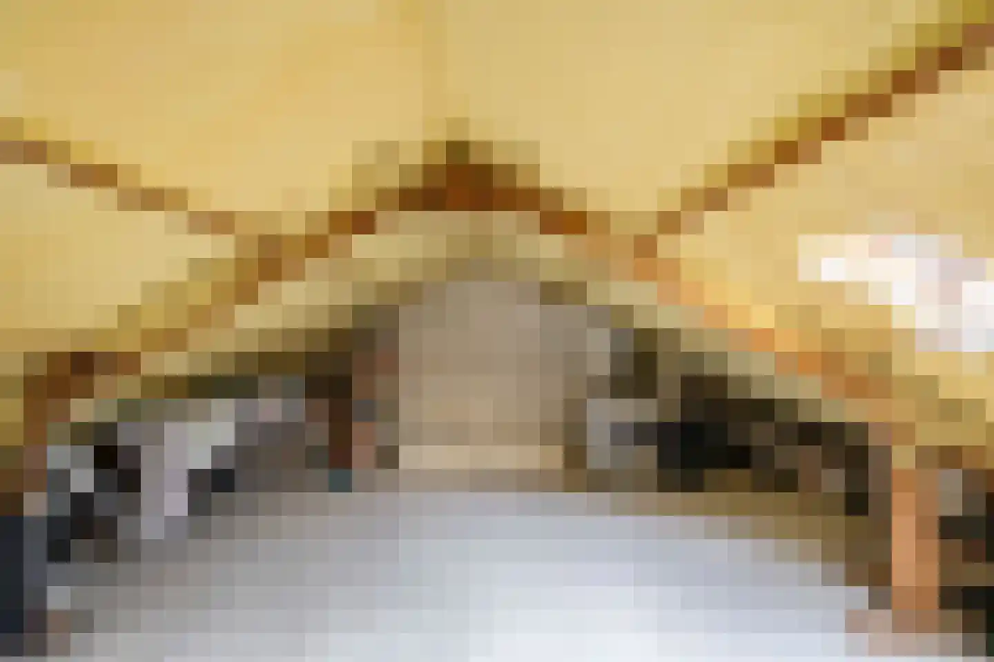 Obrechtlaan 106 Assen thumbnail 34