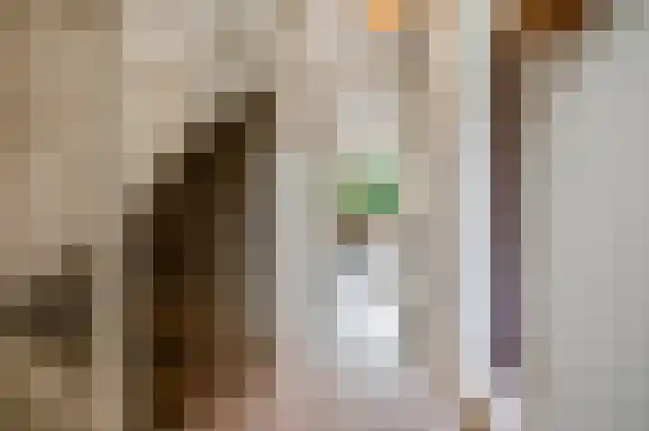 Obrechtlaan 12 Ede thumbnail 13