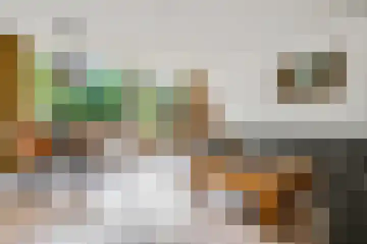Obrechtlaan 12 Ede thumbnail 7