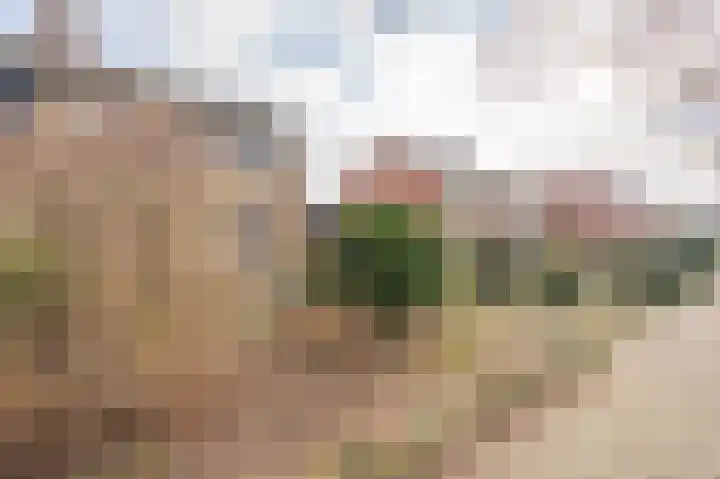 Obrechtlaan 126 Assen thumbnail 10