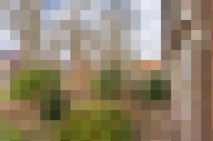 Obrechtlaan 126 Assen thumbnail 12