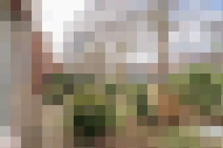 Obrechtlaan 126 Assen thumbnail 13