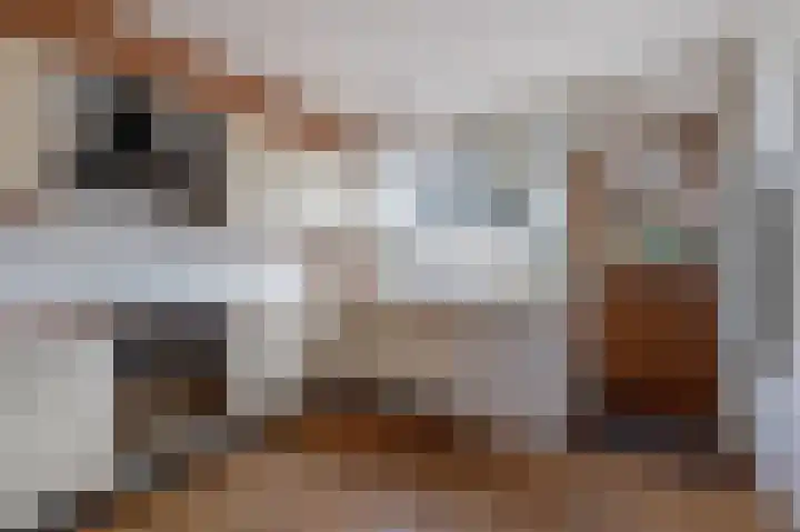 Obrechtlaan 126 Assen thumbnail 24