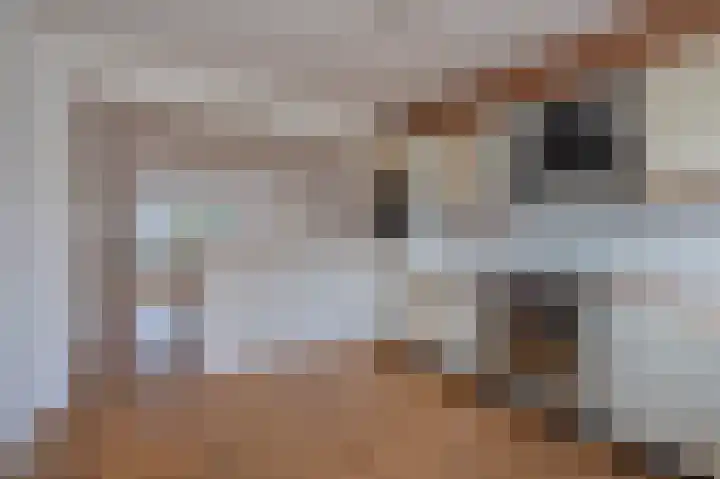 Obrechtlaan 126 Assen thumbnail 25