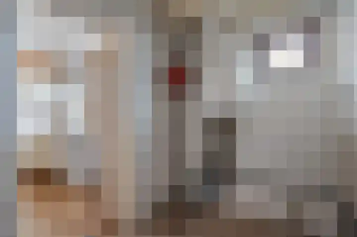 Obrechtlaan 126 Assen thumbnail 29