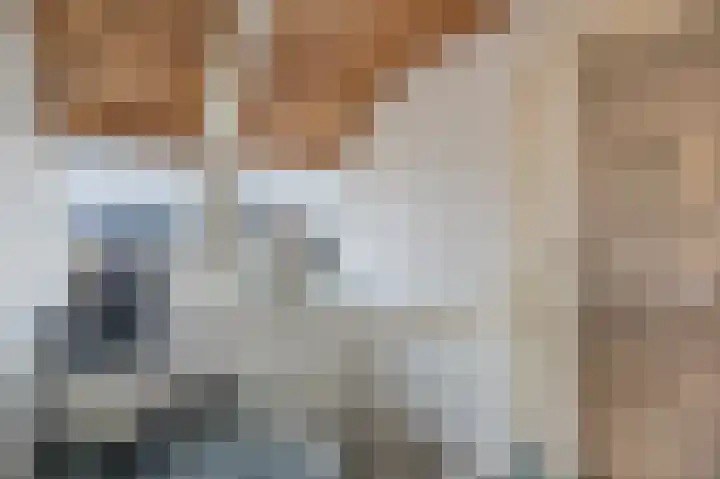 Obrechtlaan 126 Assen thumbnail 32