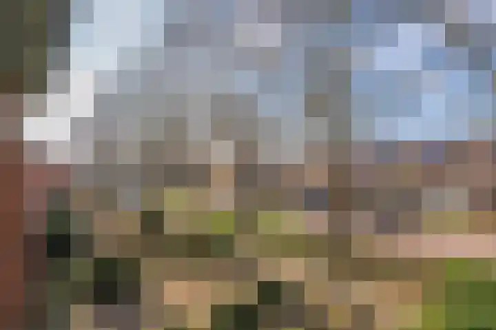 Obrechtlaan 126 Assen thumbnail 38