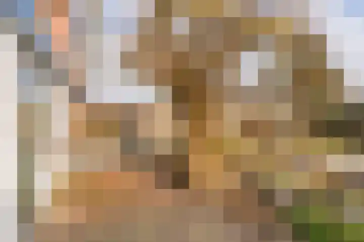 Obrechtlaan 126 Assen thumbnail 45