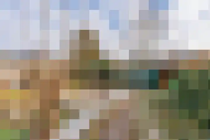 Obrechtlaan 126 Assen thumbnail 48