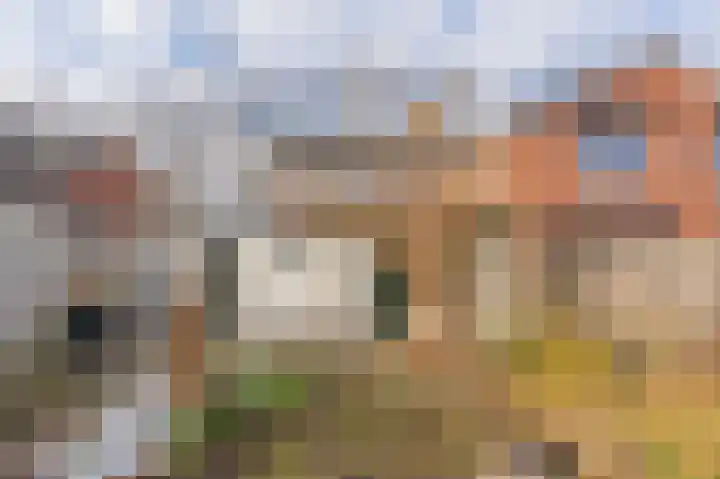 Obrechtlaan 126 Assen thumbnail 53