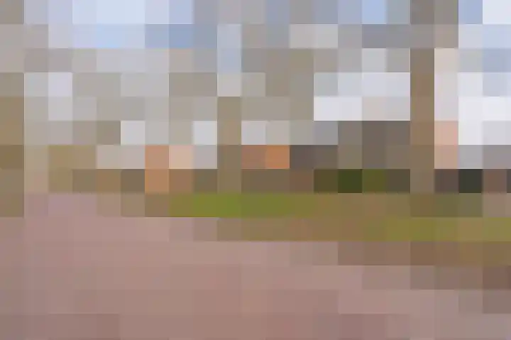 Obrechtlaan 126 Assen thumbnail 7