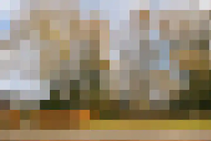 Obrechtlaan 13 Ede thumbnail 29
