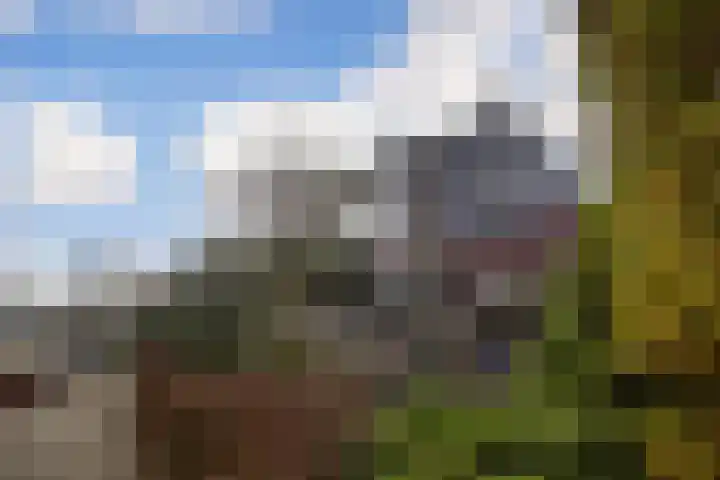 Obrechtlaan 13 Ede thumbnail 5