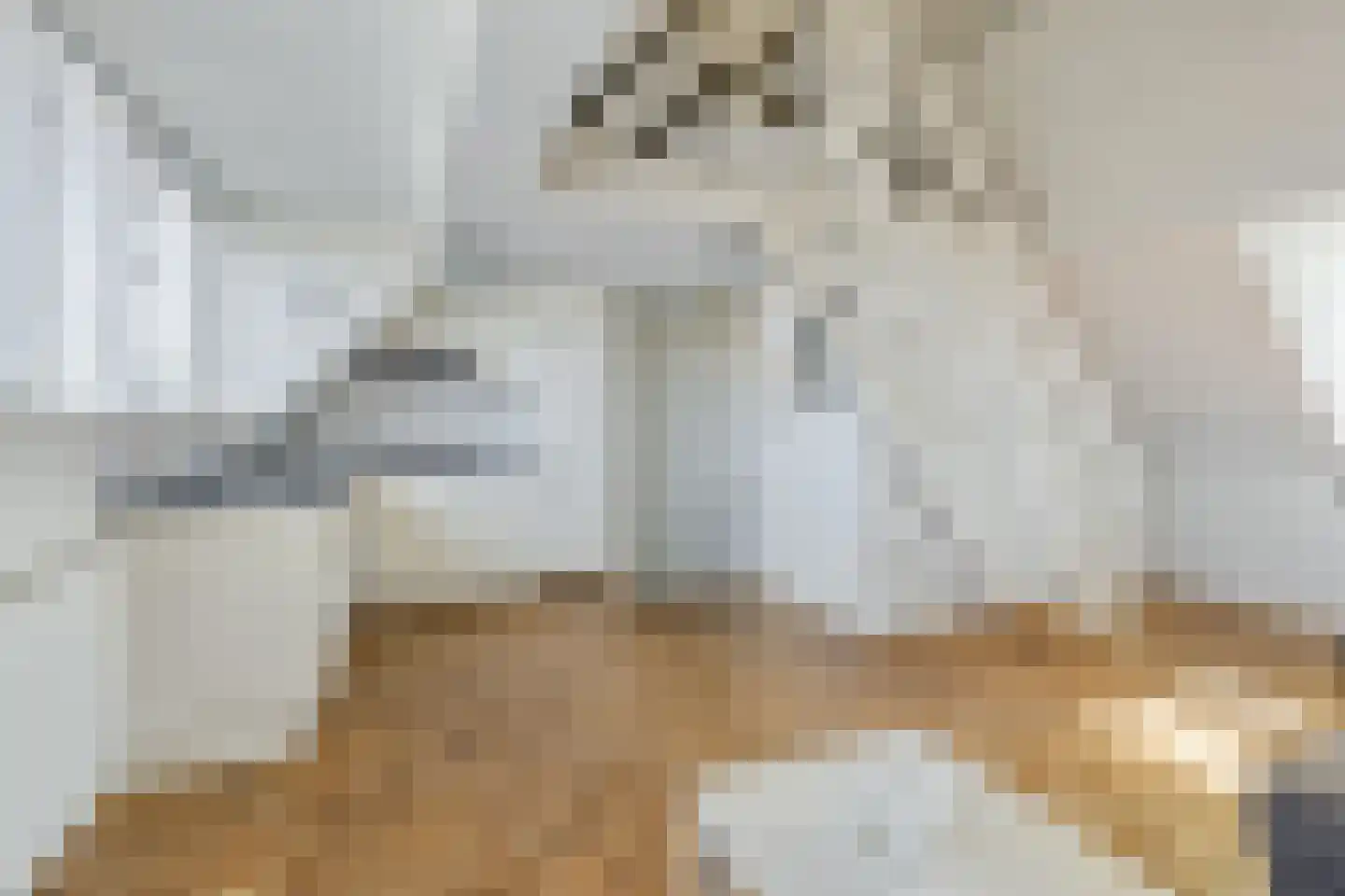 Obrechtlaan 14 Eindhoven thumbnail 28