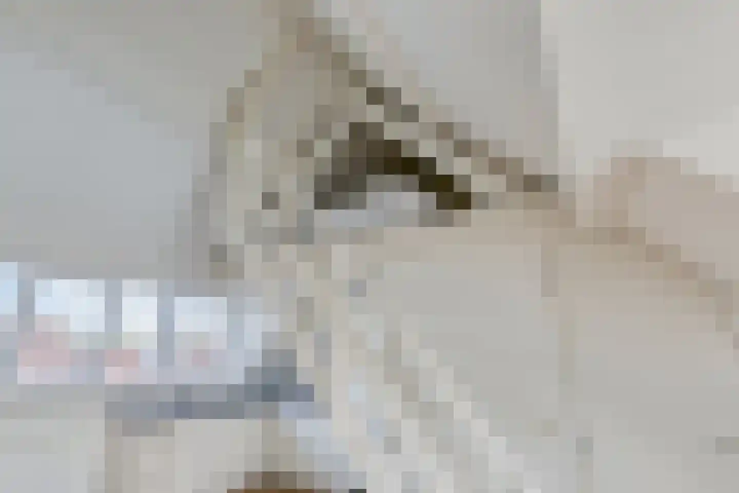 Obrechtlaan 14 Eindhoven thumbnail 34