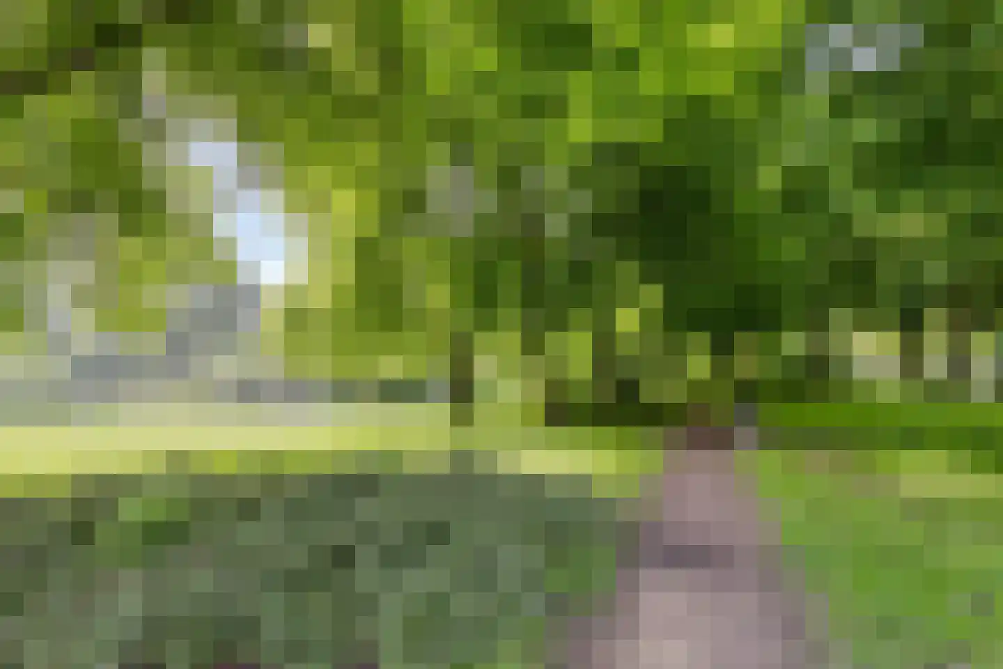 Obrechtlaan 14 Eindhoven thumbnail 41