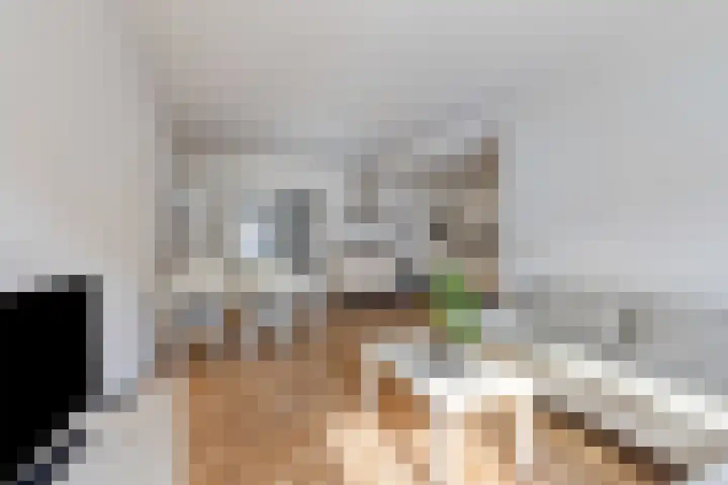 Obrechtlaan 14 Eindhoven thumbnail 6