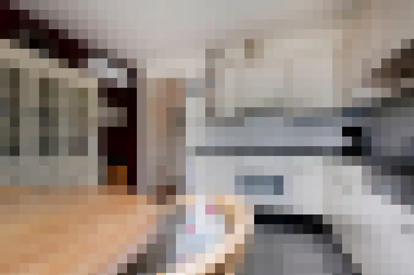 Obrechtlaan 150 Assen thumbnail 24