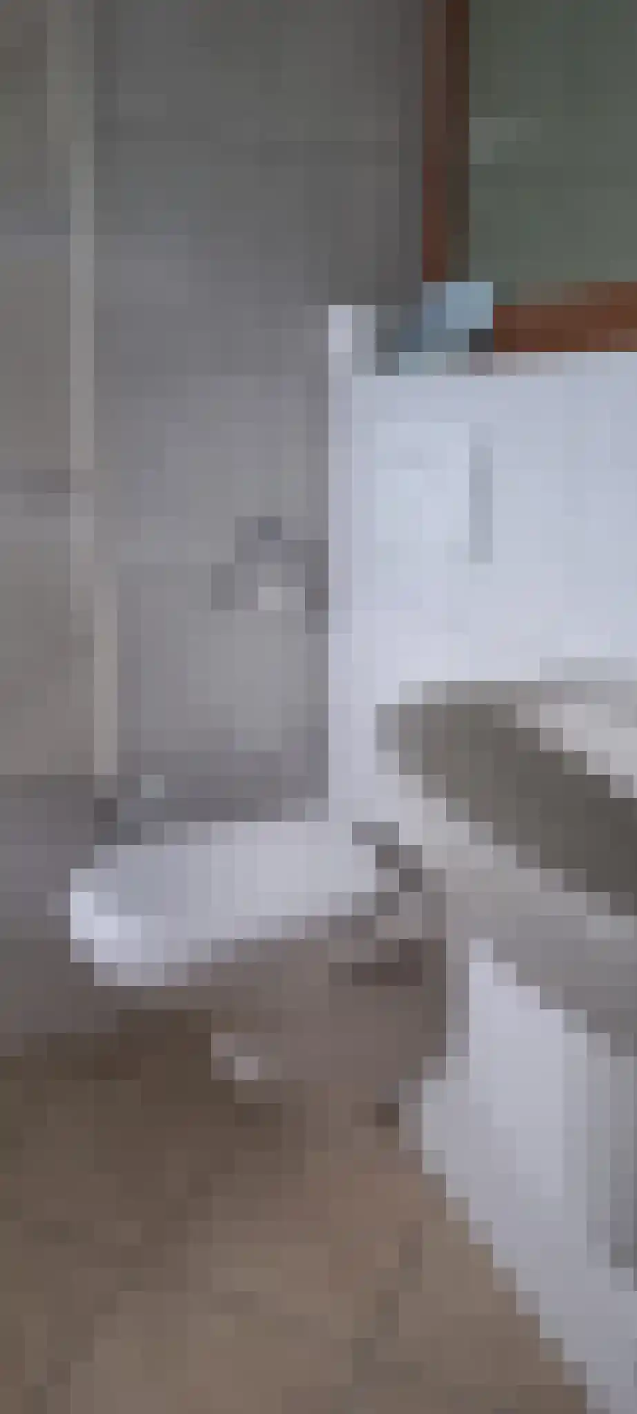 Obrechtlaan 150 Assen thumbnail 31