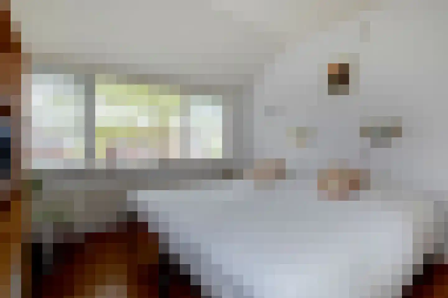 Obrechtlaan 150 Assen thumbnail 36