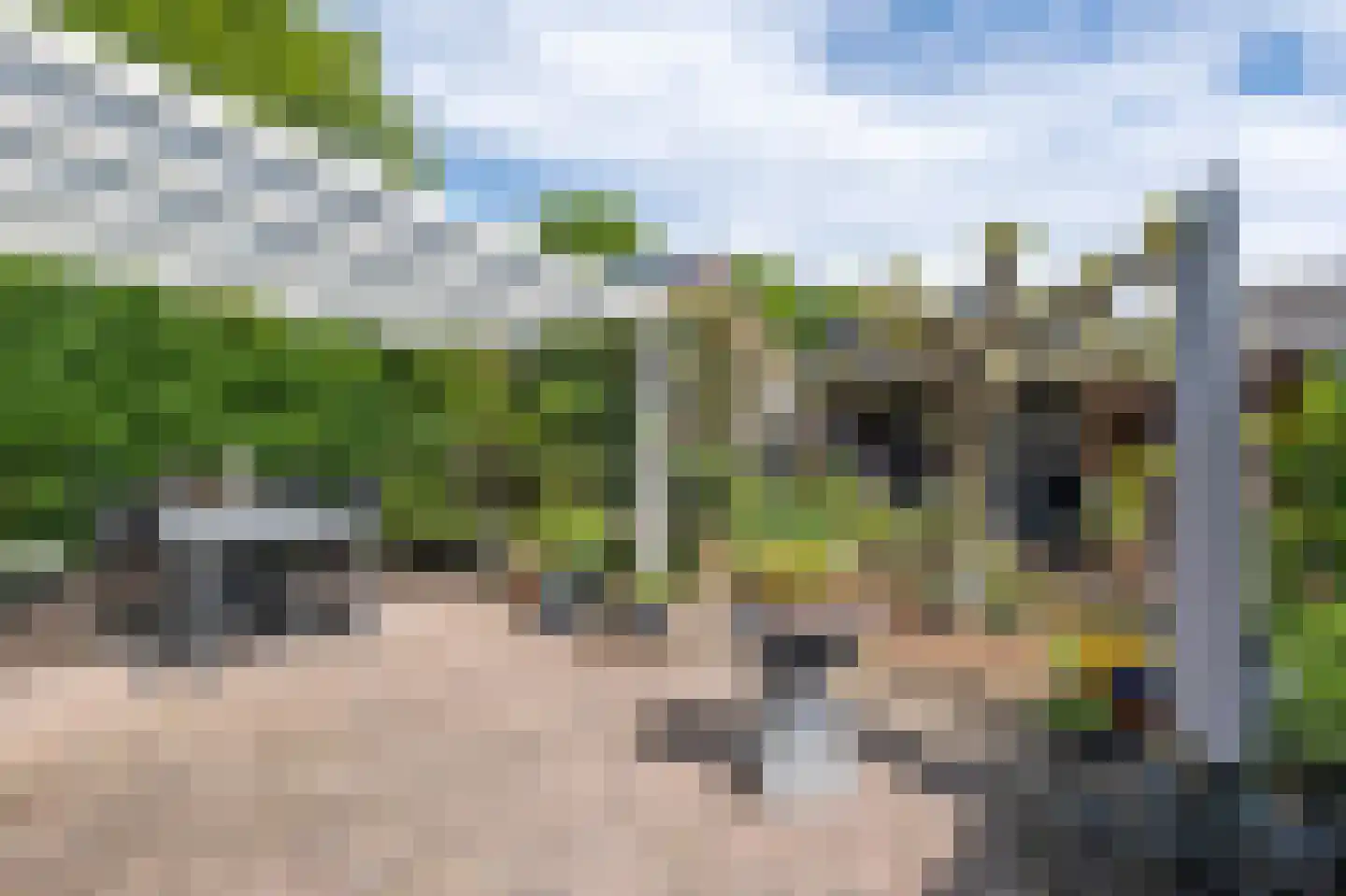Obrechtlaan 150 Assen thumbnail 39