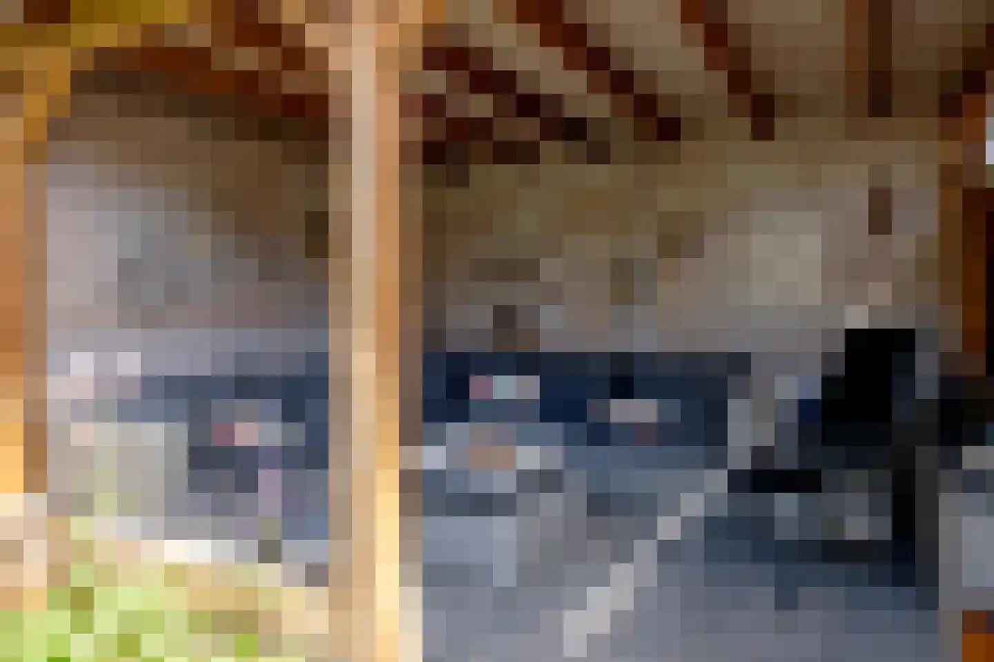 Obrechtlaan 150 Assen thumbnail 4
