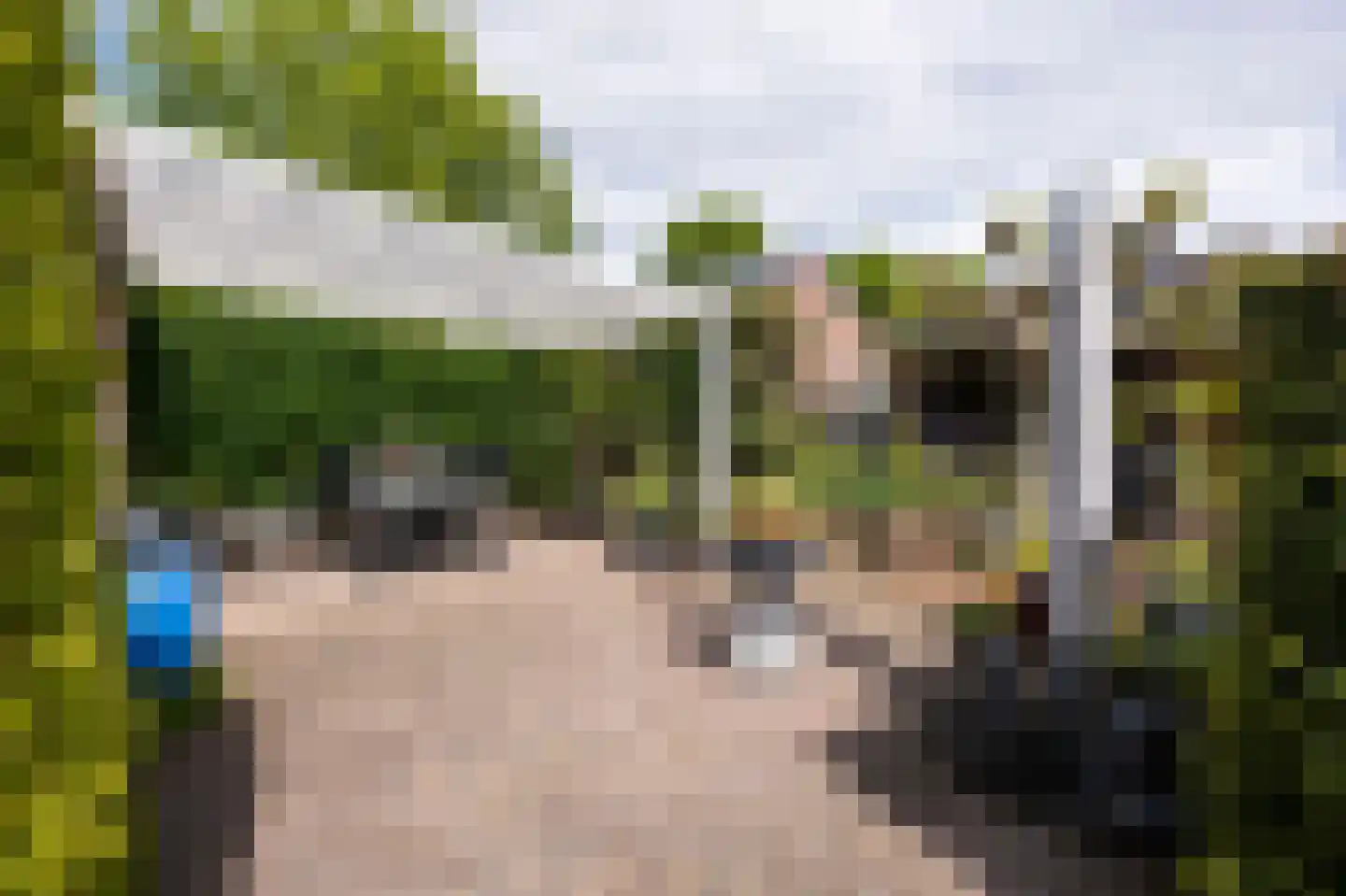 Obrechtlaan 150 Assen thumbnail 41