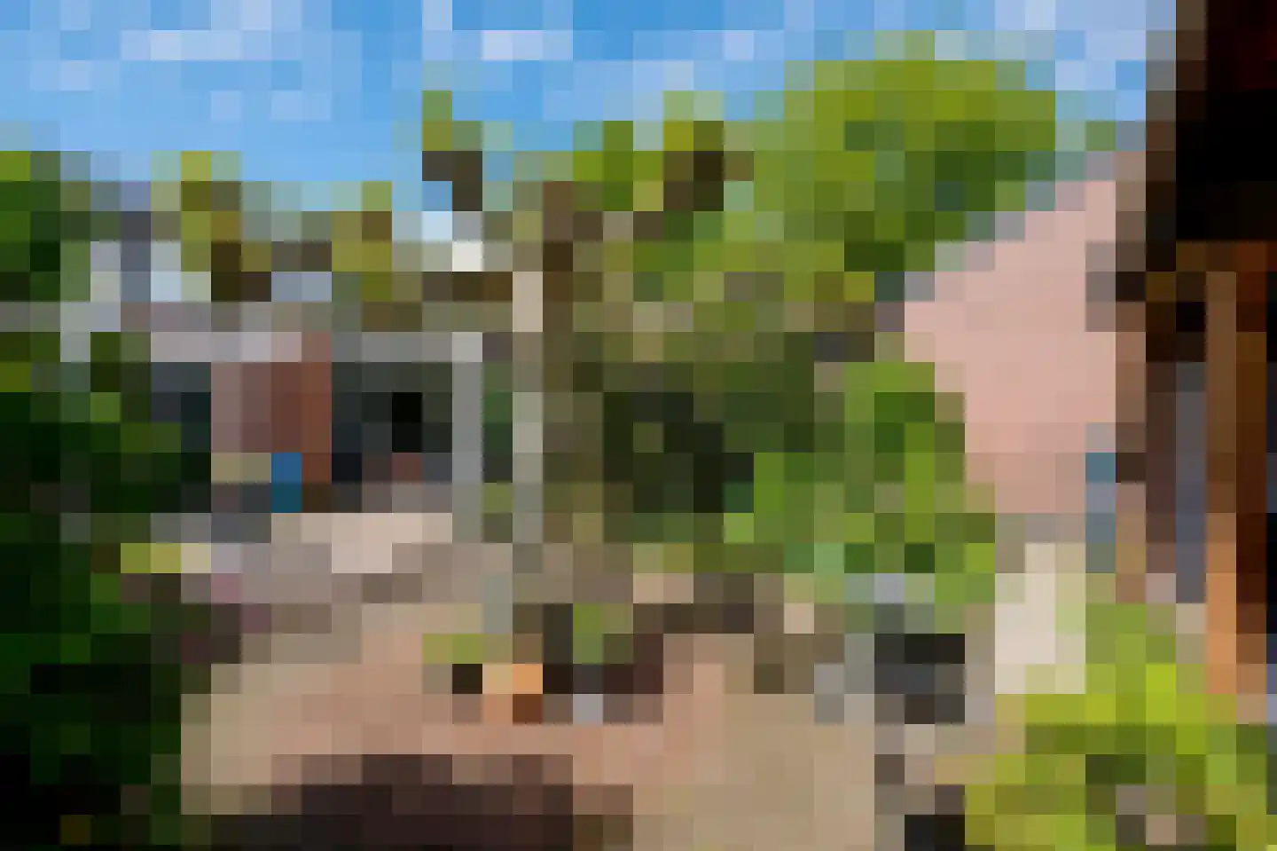Obrechtlaan 150 Assen thumbnail 43