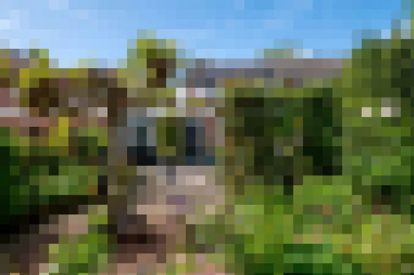Obrechtlaan 150 Assen thumbnail 44