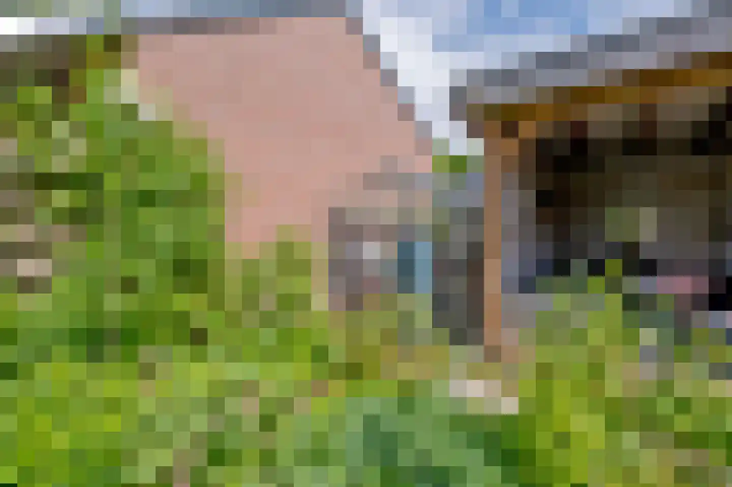 Obrechtlaan 150 Assen thumbnail 45