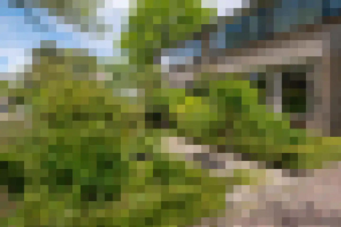 Obrechtlaan 150 Assen thumbnail 49