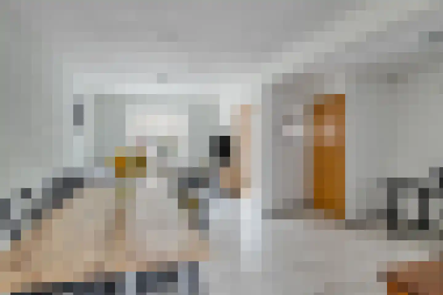 Obrechtlaan 16 Eindhoven thumbnail 12