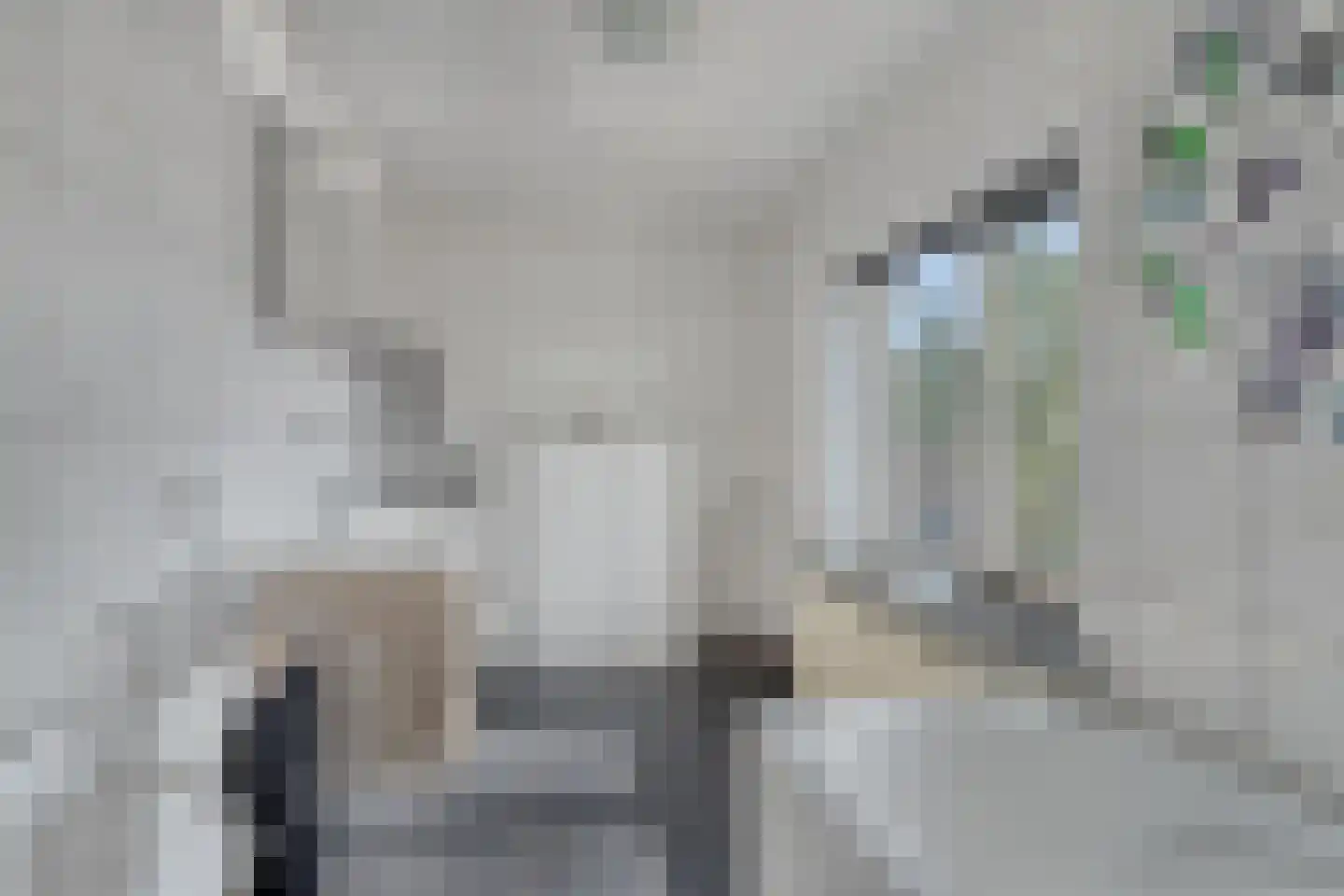 Obrechtlaan 16 Eindhoven thumbnail 20