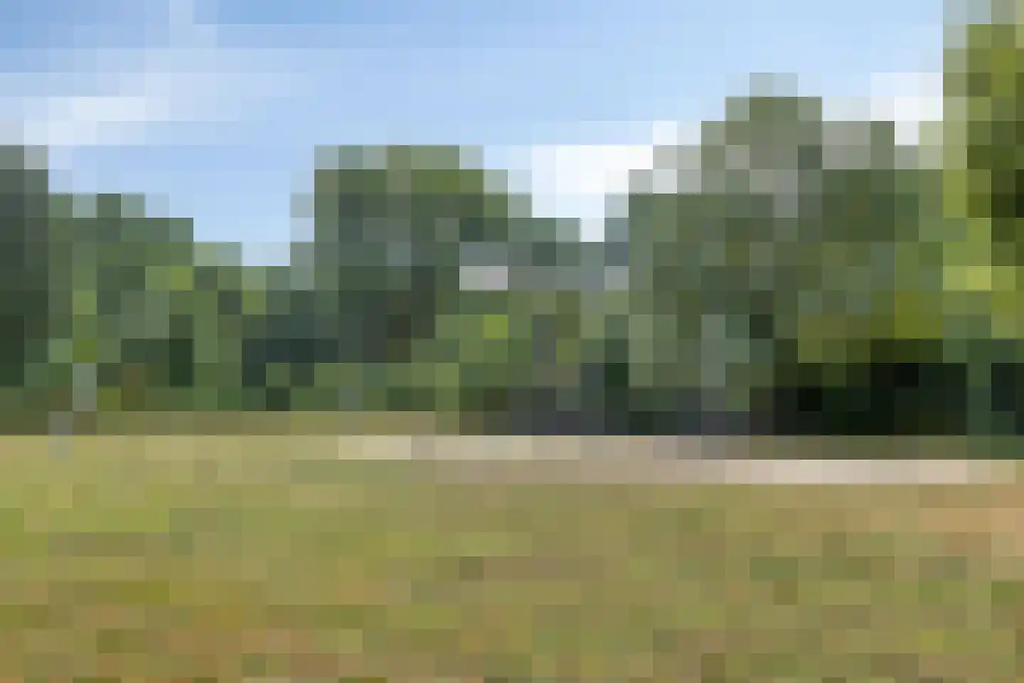 Obrechtlaan 16 Eindhoven thumbnail 32