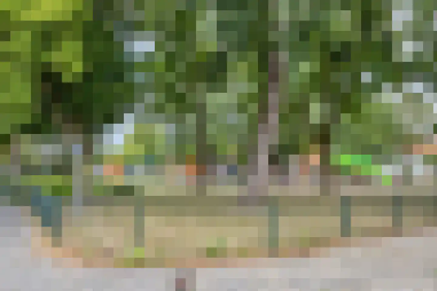 Obrechtlaan 16 Eindhoven thumbnail 33