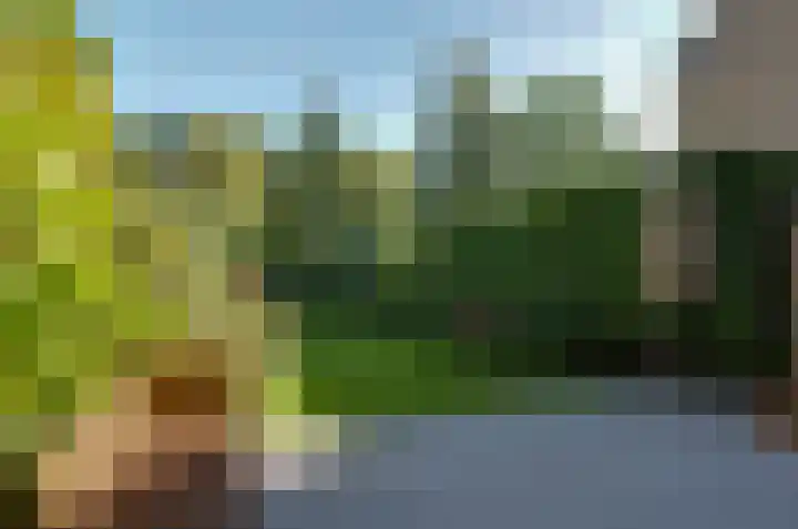 Obrechtlaan 174 Assen thumbnail 25