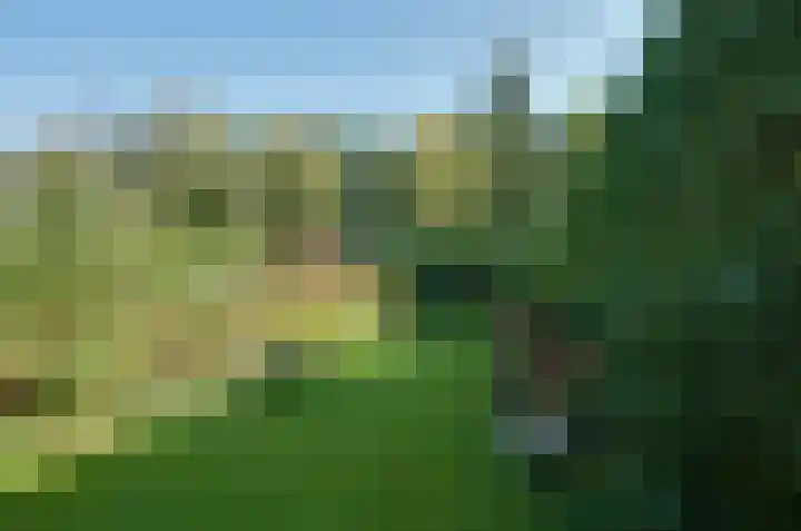 Obrechtlaan 174 Assen thumbnail 27