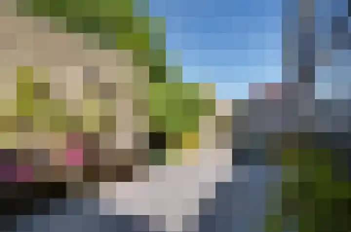 Obrechtlaan 174 Assen thumbnail 31