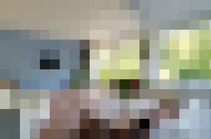 Obrechtlaan 174 Assen thumbnail 5