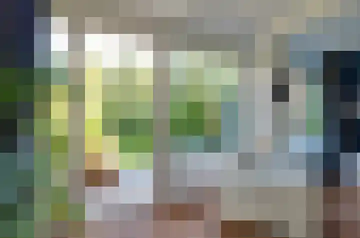 Obrechtlaan 174 Assen thumbnail 7