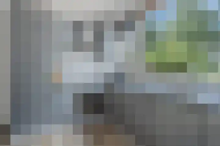 Obrechtlaan 176 Assen thumbnail 20