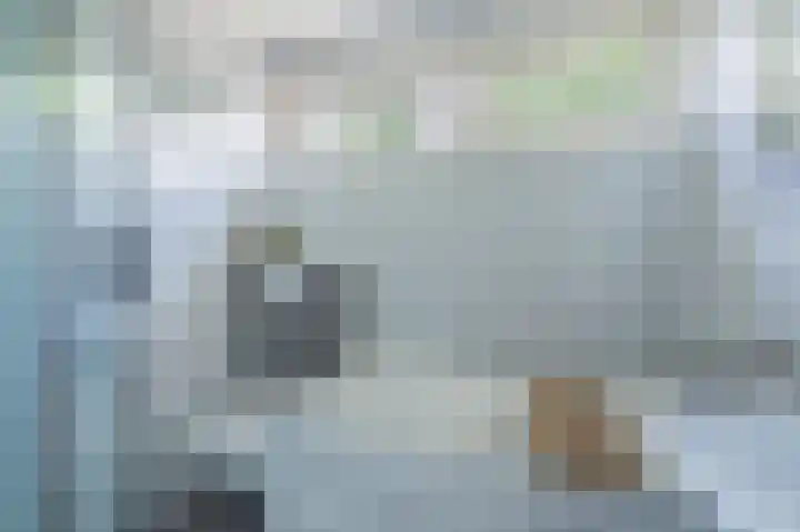 Obrechtlaan 176 Assen thumbnail 25