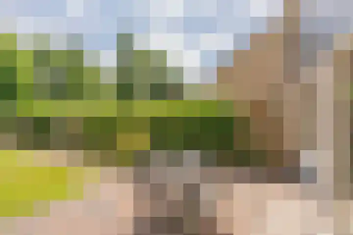 Obrechtlaan 176 Assen thumbnail 38