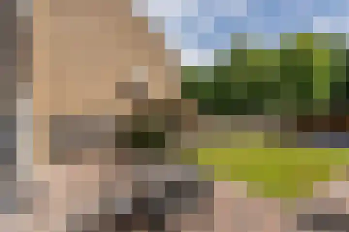 Obrechtlaan 176 Assen thumbnail 39