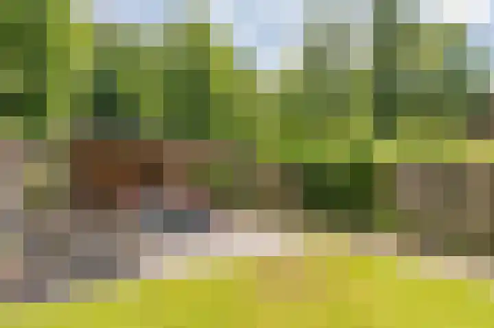 Obrechtlaan 176 Assen thumbnail 44