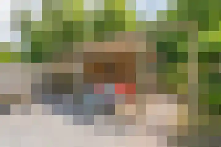 Obrechtlaan 176 Assen thumbnail 45