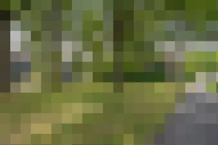 Obrechtlaan 176 Assen thumbnail 54