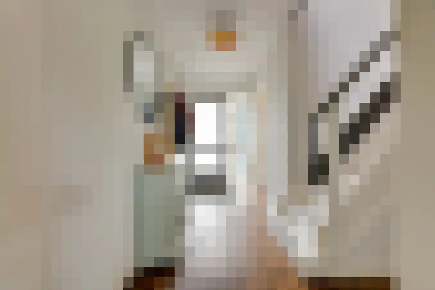 Obrechtlaan 188 Assen thumbnail 10